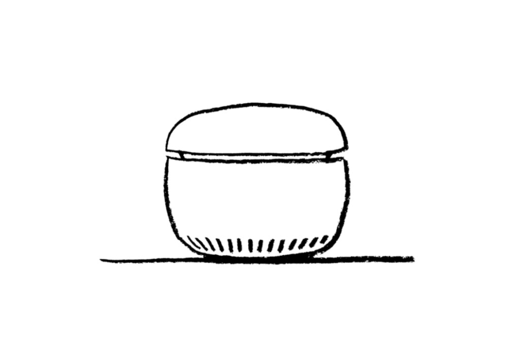 CARUcare Icon